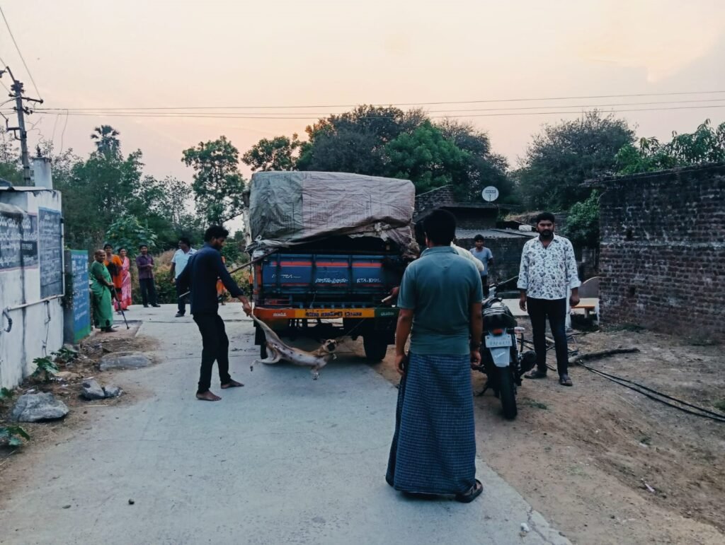 అలియాబాద్‌లో కుక్కల బెడదకు చెక్
